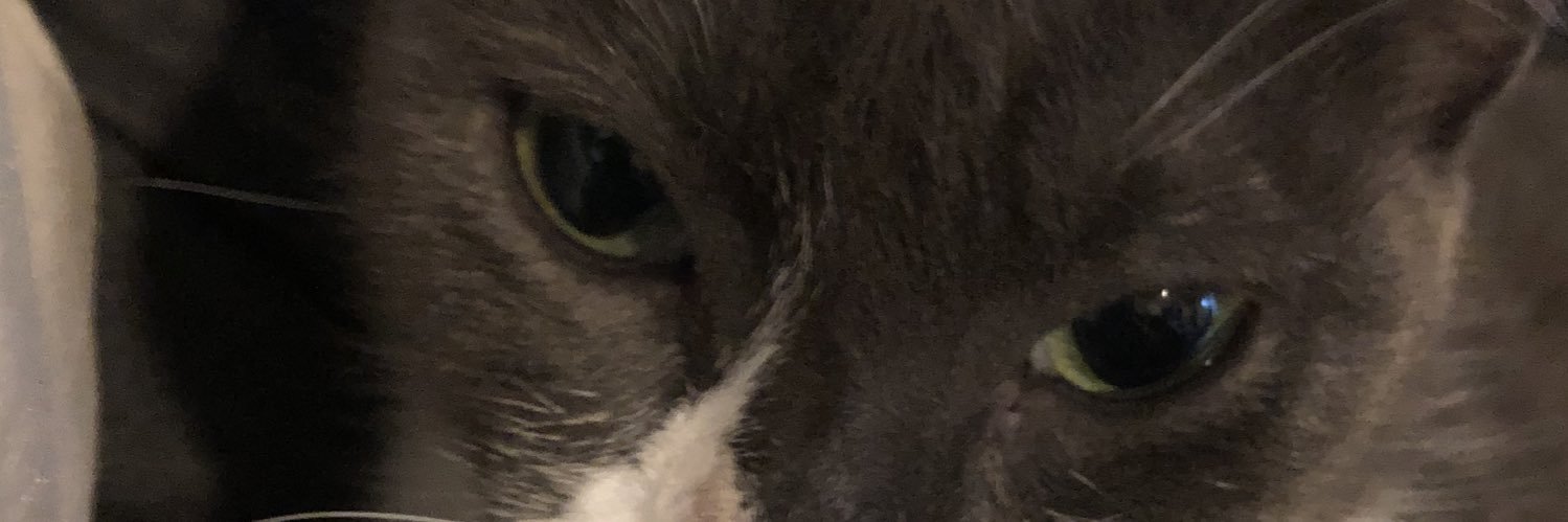 mdjroo2's profile banner image