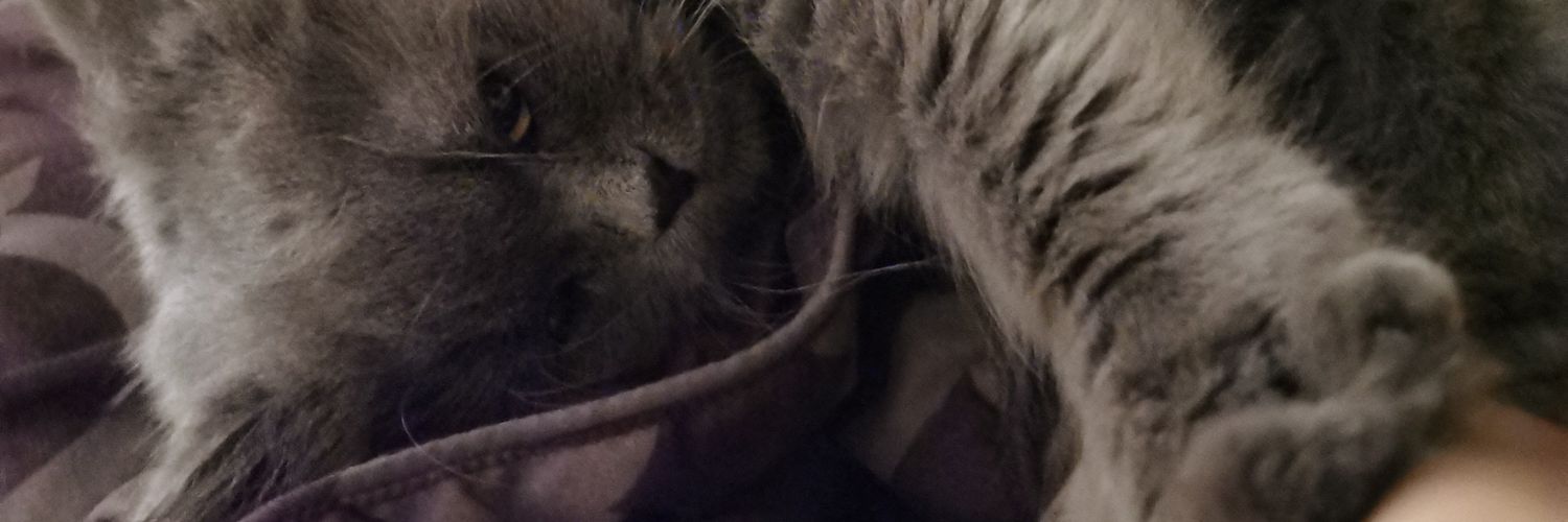 trongkunlanid's profile banner image