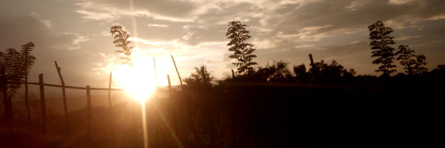 thedayxme's profile banner image