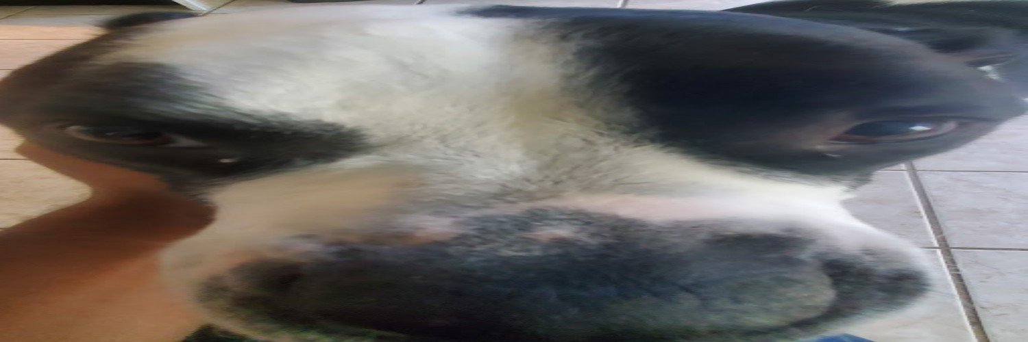 Khanya @ Home banner