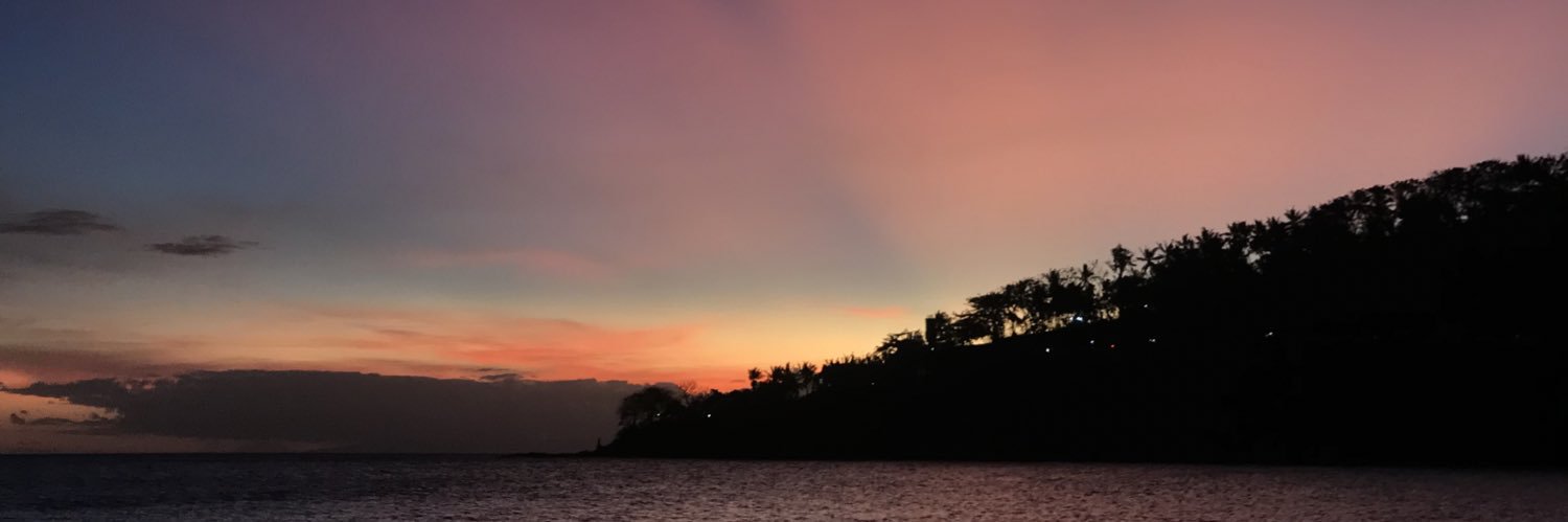 duldindul's profile banner image