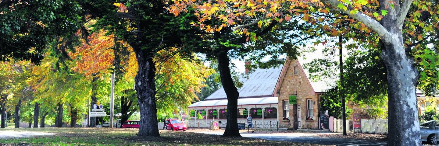 Tenterfield Star banner