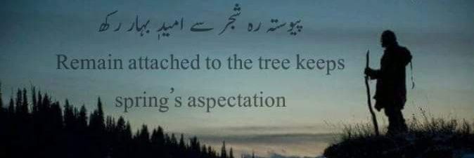 Tayyeb ul Hassan banner