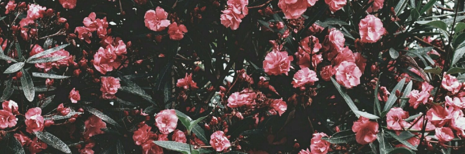 fhaniadelia's profile banner image