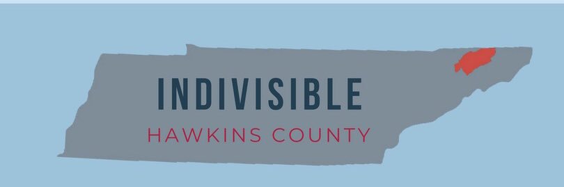 IndivisibleHCTN banner