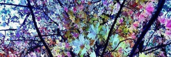 Rainbow Pocket banner