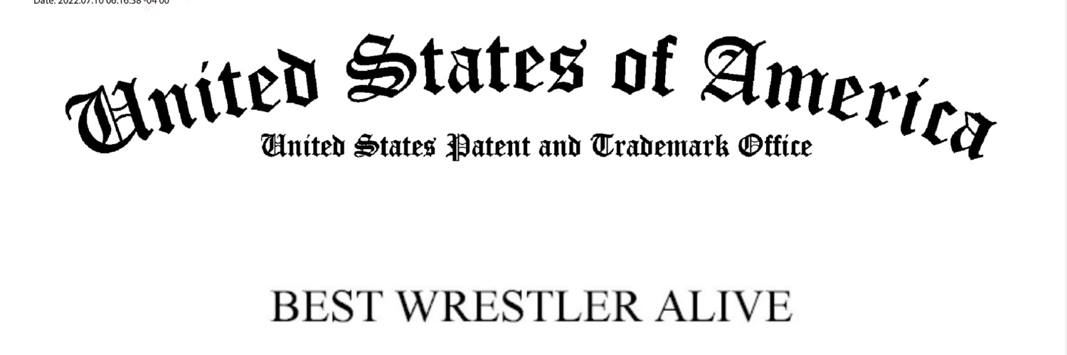 ''Platinum'' Max Caster banner