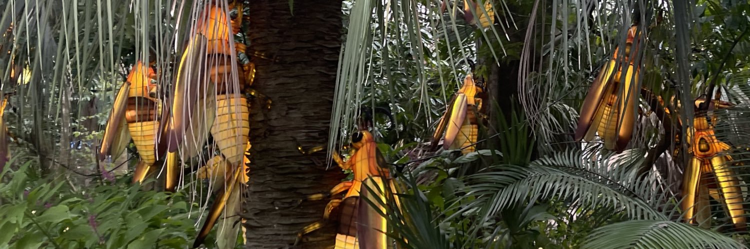 kortneykaylor's profile banner image