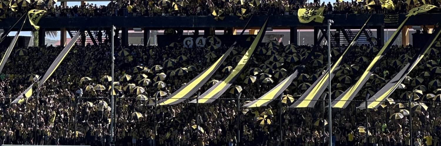 Pau banner