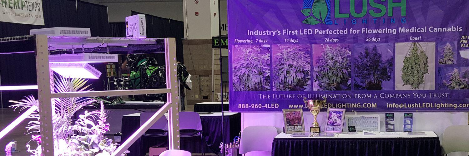 Lush Lighting banner
