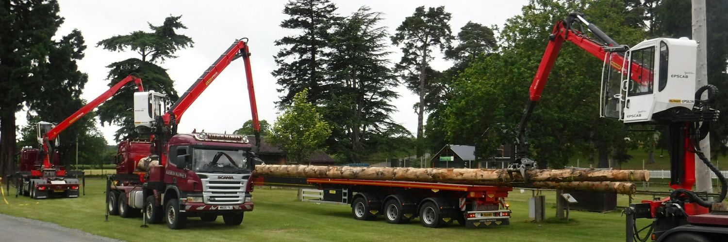 RWAS Forestry banner