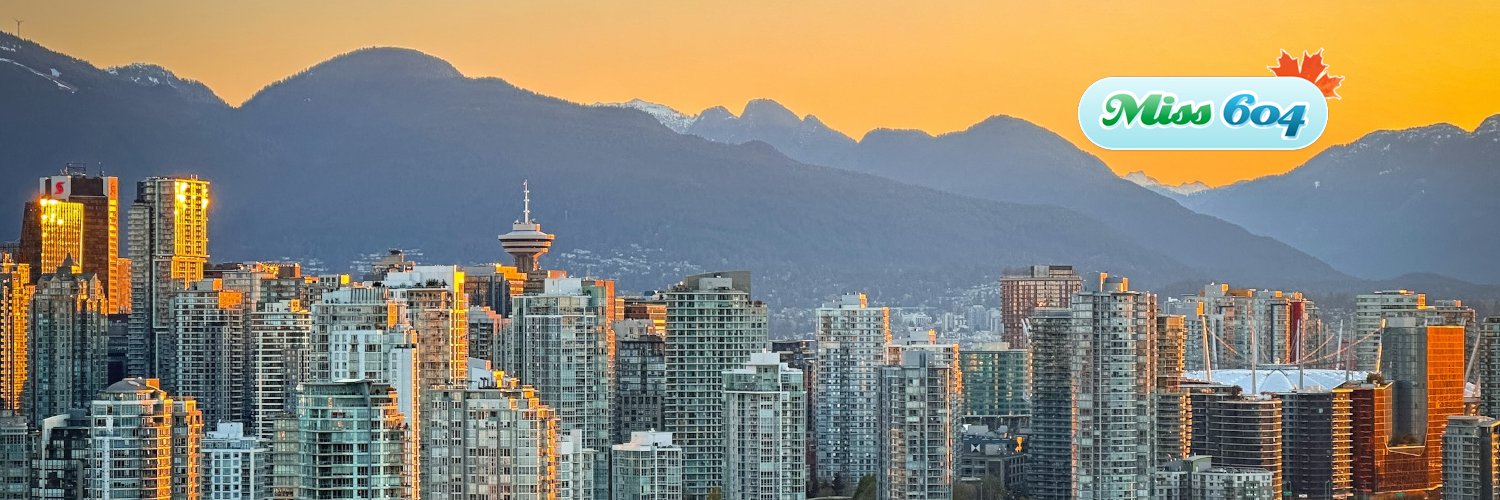 Rebecca Bollwitt banner