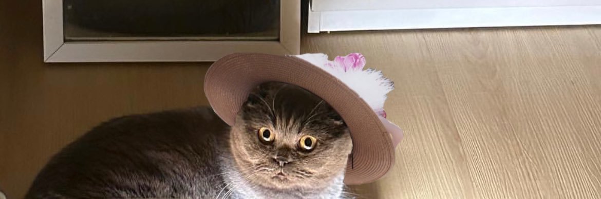 หมั่มมี๊มิซาเอะ banner