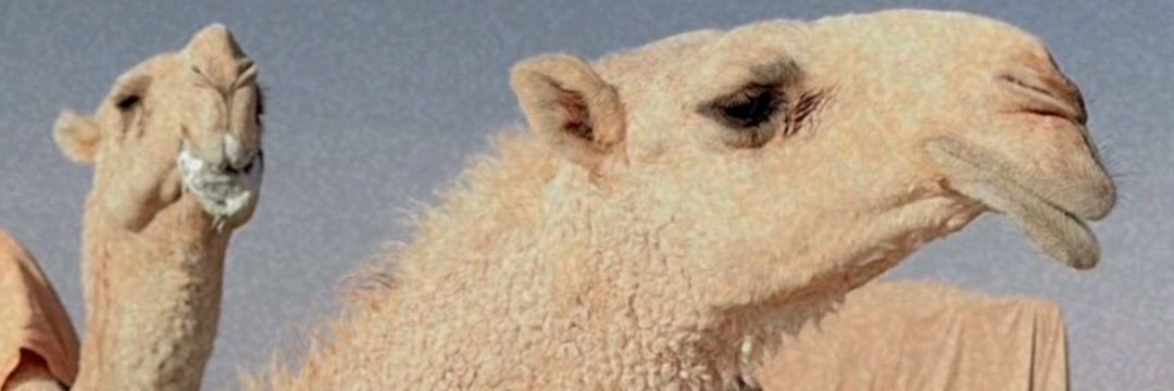 1bnsaf's profile banner image