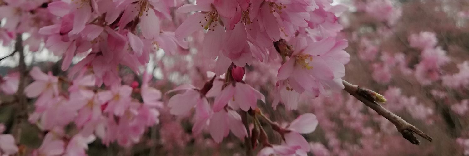 23_uki's profile banner image