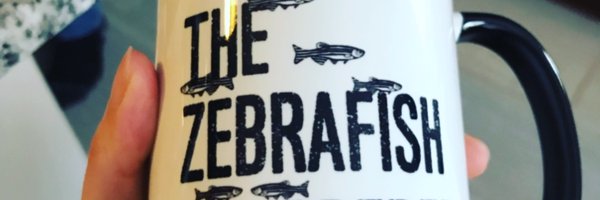JW_zebrafish Profile Banner