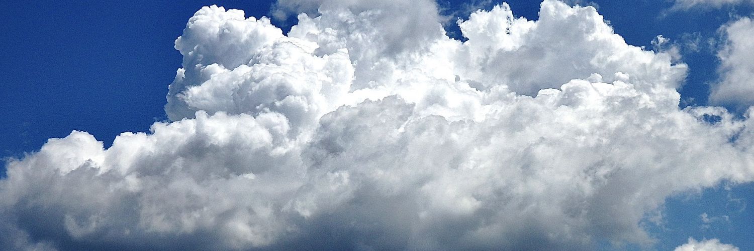 winnieeinniw's profile banner image