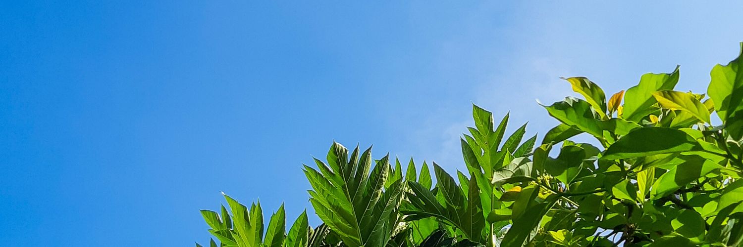 dinamond's profile banner image