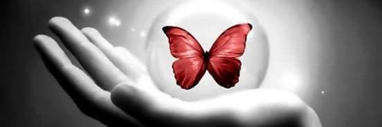 vanevidaes's profile banner image