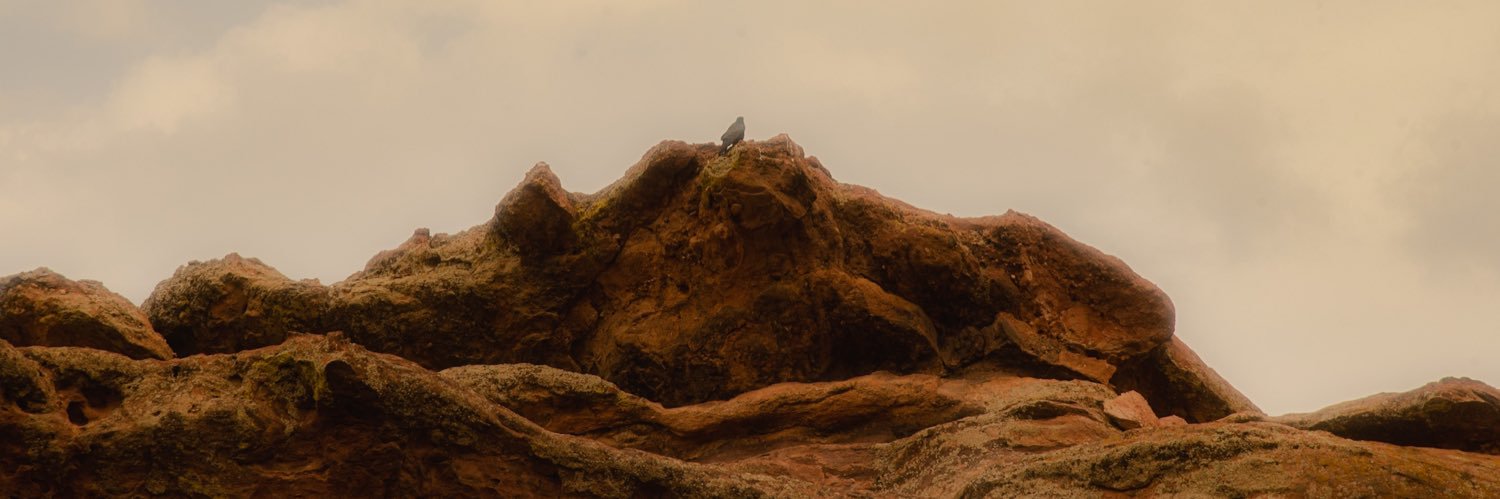 Dwayne_Saint's profile banner image