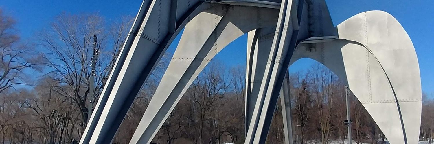 lopus65's profile banner image