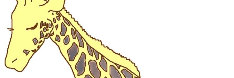 yasajan's profile banner image