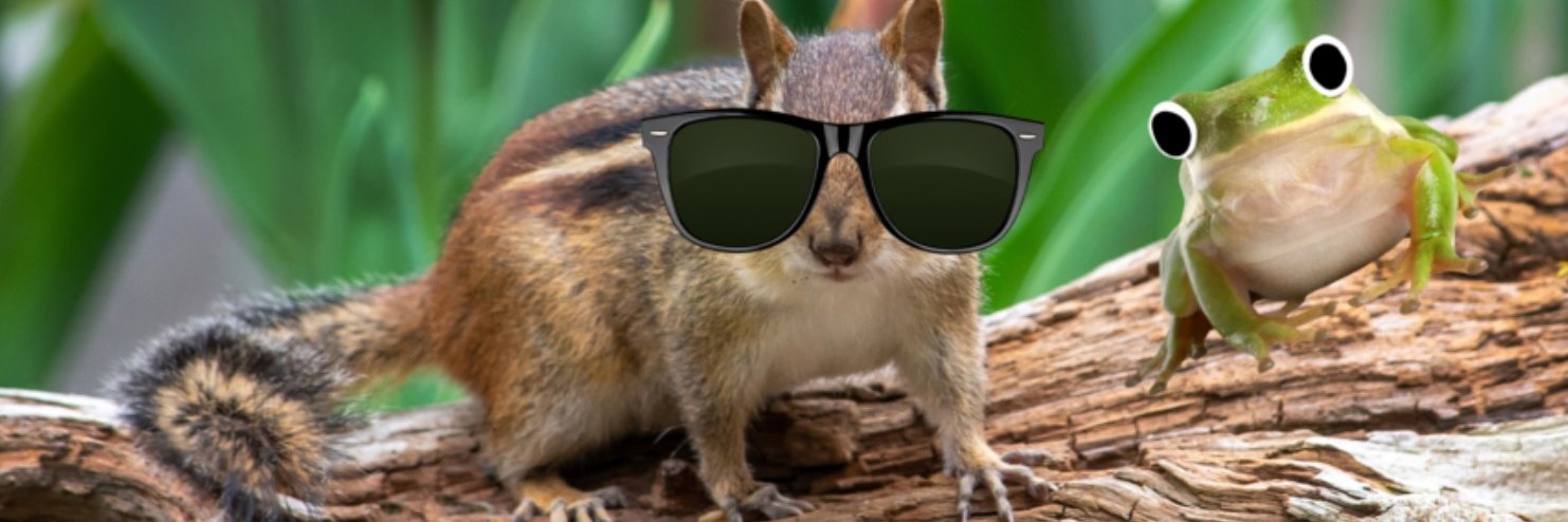 Patio Chipmunks 🇺🇸 banner