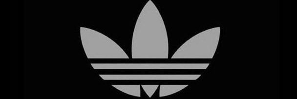 nasimatz's profile banner image