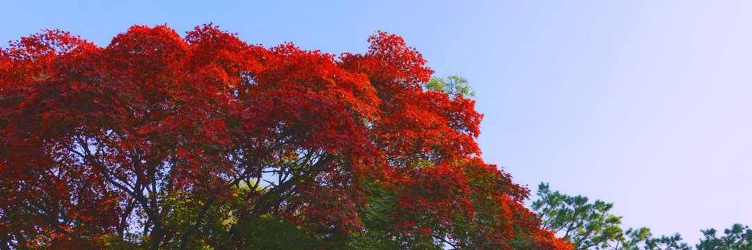 brightvcht's profile banner image