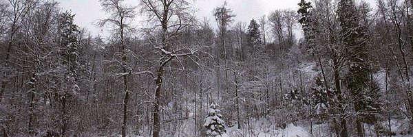 unseen1_unseen Profile Banner