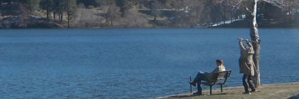 muttzone Profile Banner