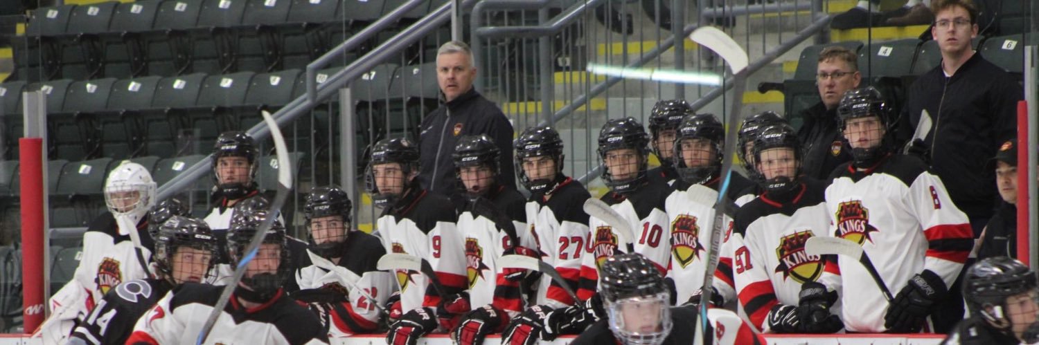 The Western Driving School Kings banner