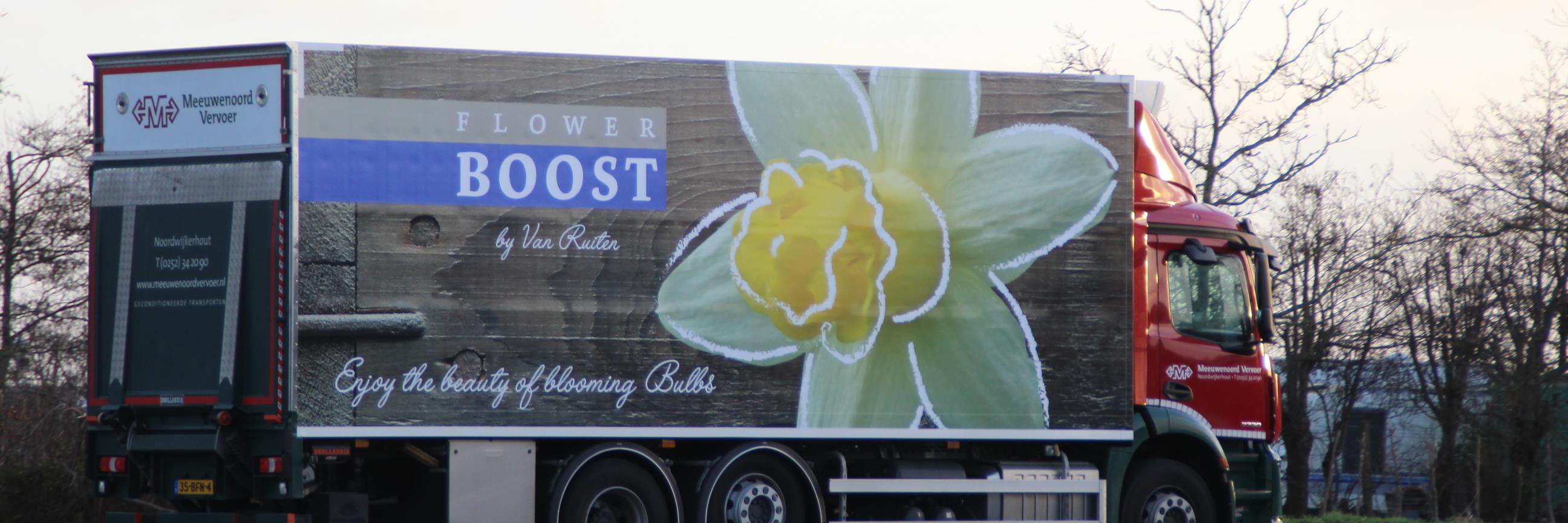 flowerboostnl's profile banner image