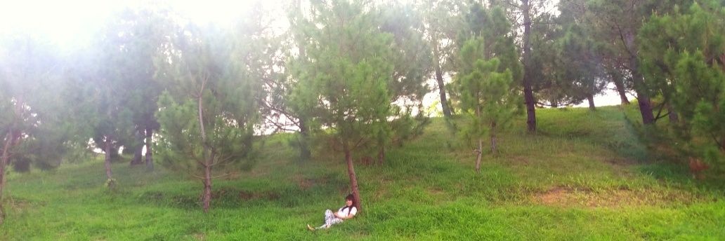 dhee_beeM's profile banner image
