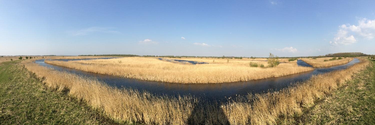 Wijs's profile banner image