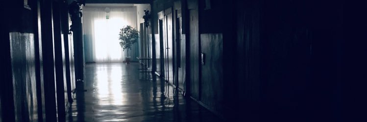 Pheny🦋 banner
