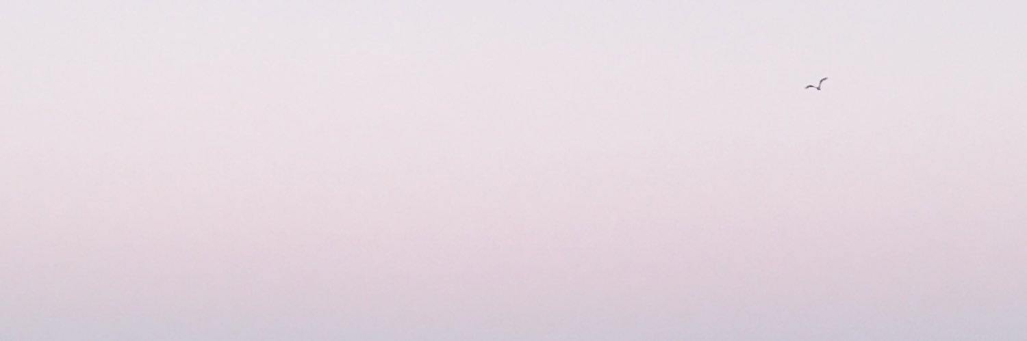 bayatheart's profile banner image