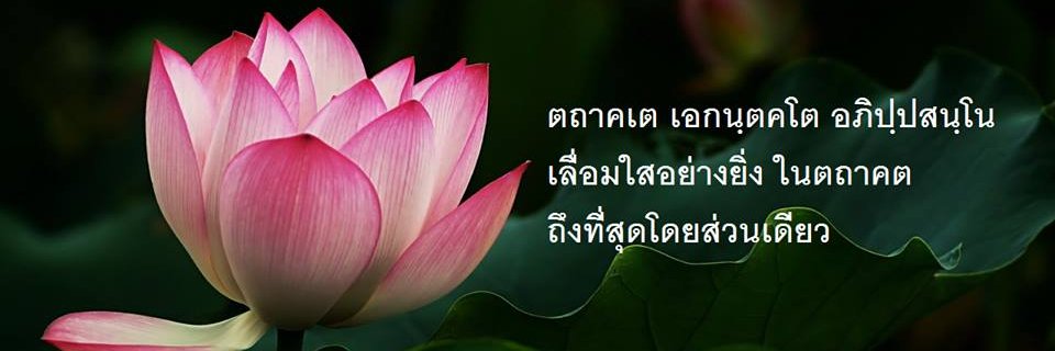 platu rwchapata's banner