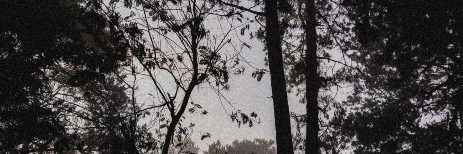 fuzzymask328's profile banner image