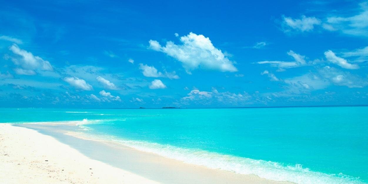 Linda Marie Lovison banner