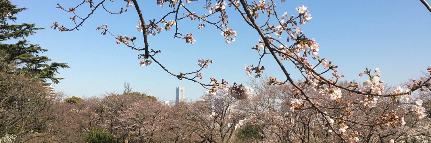 tcshonan's profile banner image