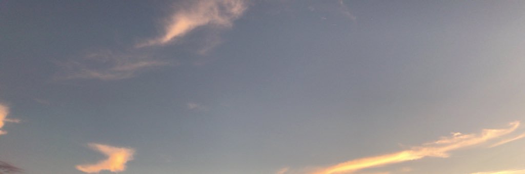 goobirrer's profile banner image