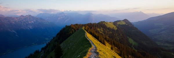pschwllr Profile Banner