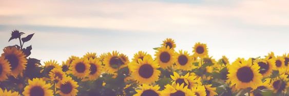 MlrCamille's profile banner image