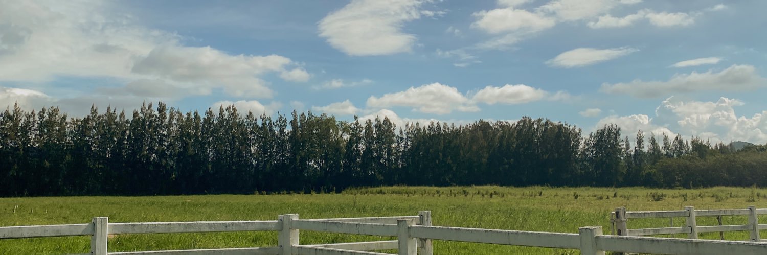 (slow) givenshy ᓀ‸ᓂ ༘⋆✿ banner