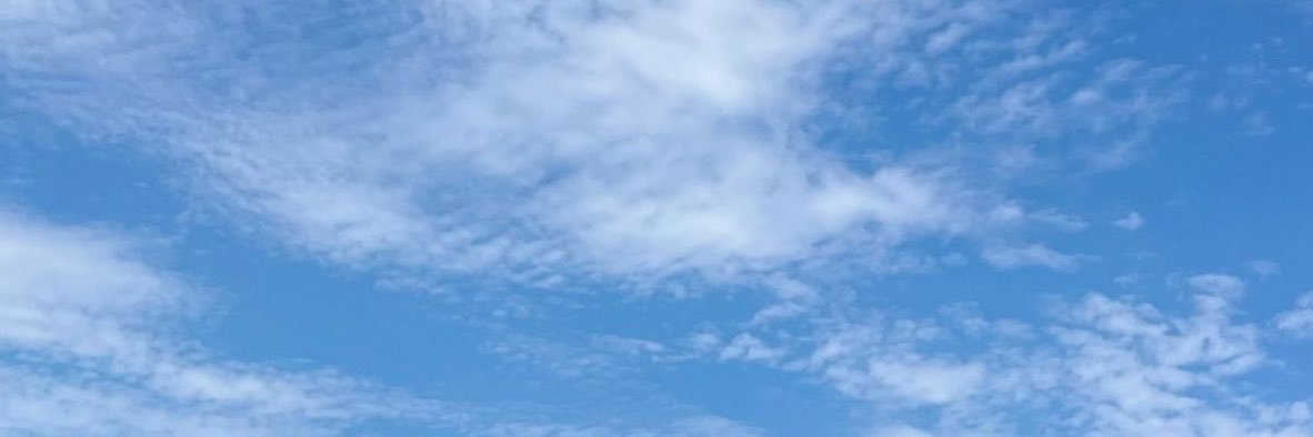 4O banner