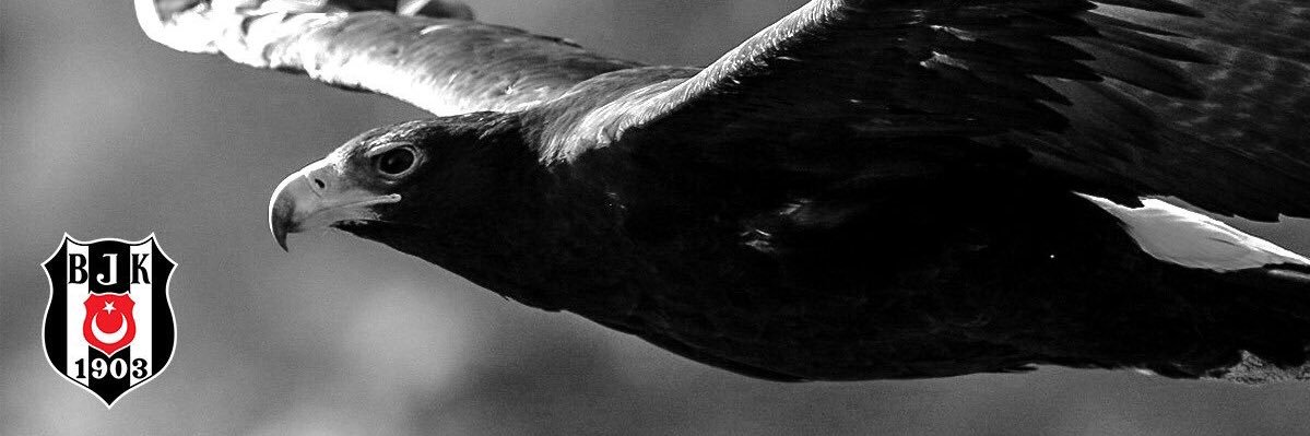sinan_sekeroglu's profile banner image