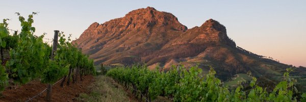 Bartinney Profile Banner