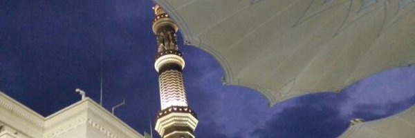 lama7799 Profile Banner