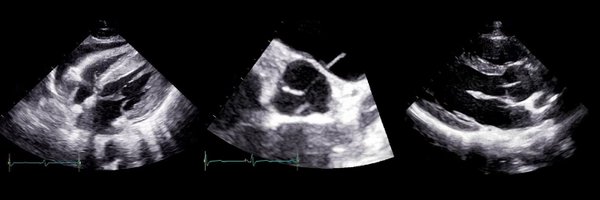 DrJonoHenry Profile Banner